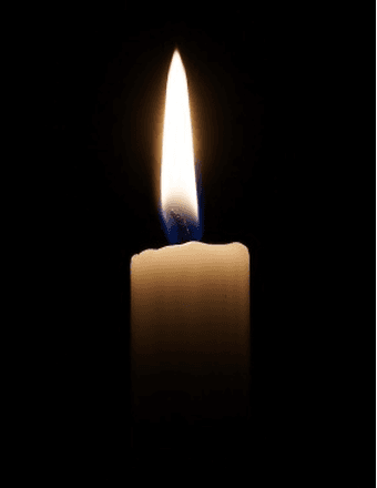 Gloria E. (Carnello) Zanardini Obituary